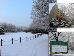 1585229673597655.png image.png