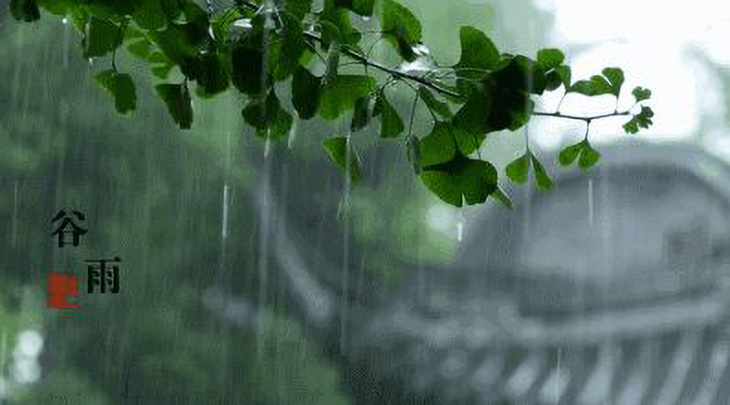 1587351064774077.png 2.png